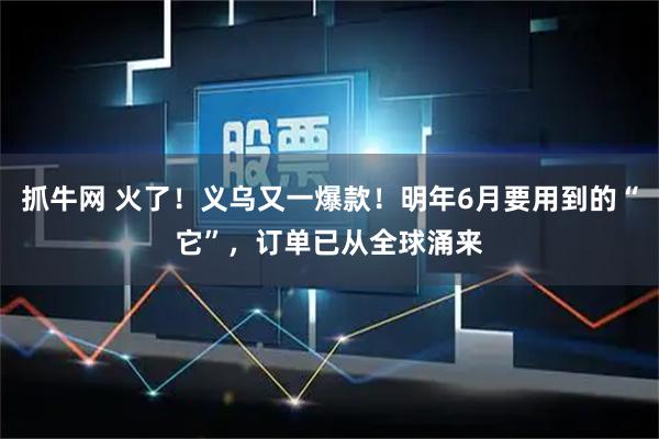 抓牛网 火了！义乌又一爆款！明年6月要用到的“它”，订单已从全球涌来
