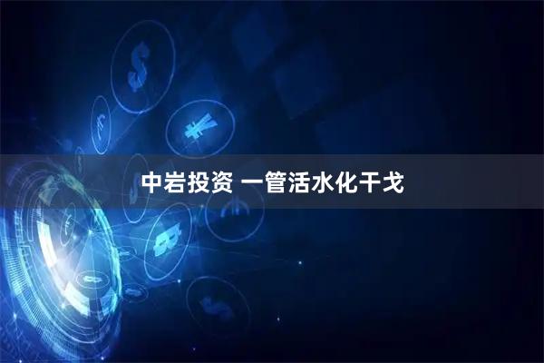 中岩投资 一管活水化干戈