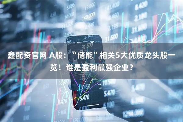 鑫配资官网 A股：“储能”相关5大优质龙头股一览！谁是盈利最强企业？