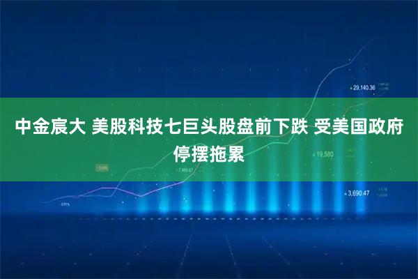 中金宸大 美股科技七巨头股盘前下跌 受美国政府停摆拖累