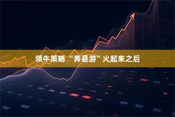 领牛策略 “奔县游”火起来之后